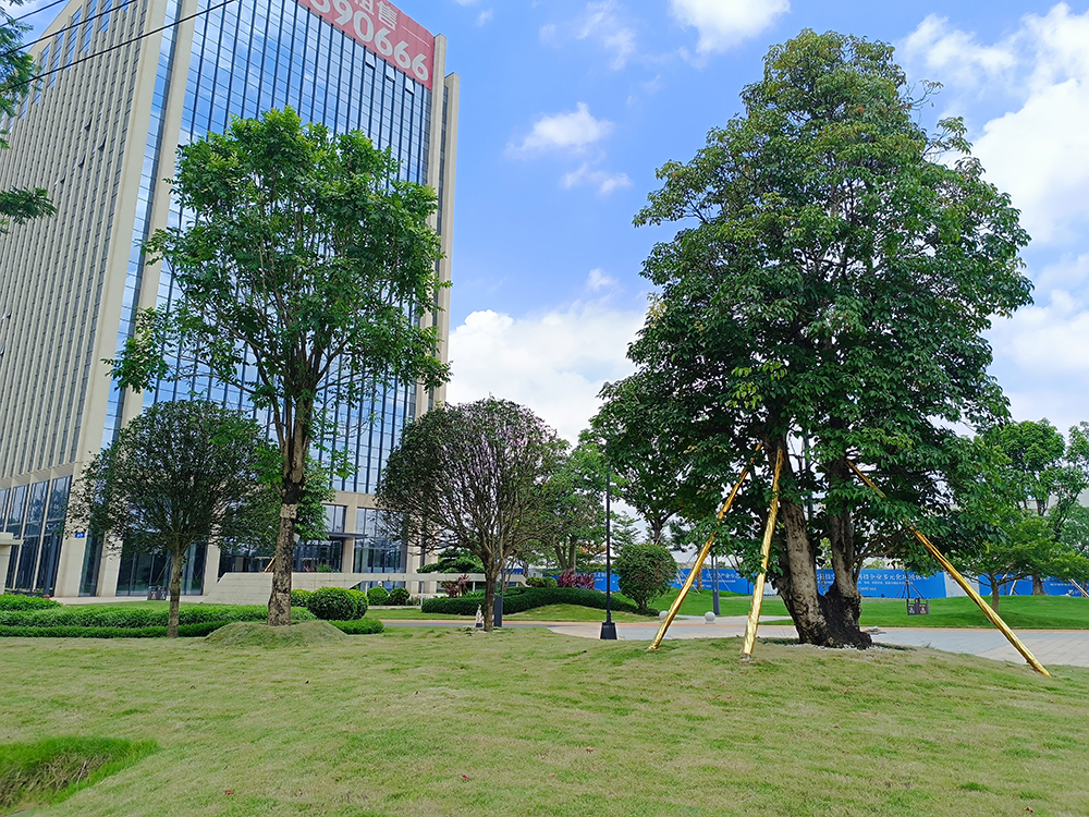 鳳凰國際工業(yè)地塊園林景觀設(shè)計